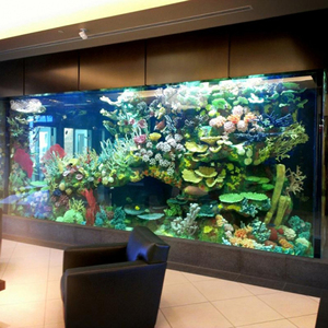 Visornes — <span class=keywords><strong>aquarium</strong></span> acrylique de grande taille, animaux à vendre, 30 ans - Product Image 1