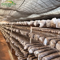 Serre tunnel agricole à structure en acier occultante pour la culture de champignons