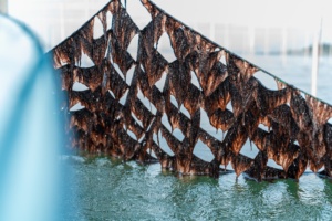 Kyushu <strong>Ariake</strong> Dried Seaweed &ldquo; Kannori &ldquo; for retail &amp; business - Product Image 3