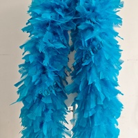Boa en plumes de dinde épaisses et teintes de 200g, 300g, 350g, blanc, pour fêtes, spectacles, danseuses, costumes de burlesque et décoration