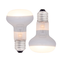 Vente en gros de lampe de chauffage UVB Reptile ampoule de jour avec une puissance de 50W-150W en verre écologique pour les reptiles