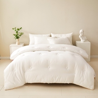 Couette matelassée légère lavable en machine avec garnissage alternatif, taille Queen - Insert de couette