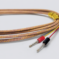 Capteur thermocouple de type K haute température avec isolation en fibre de verre, patch auto-adhésif pour mesure de surface, OEM ODM IP68