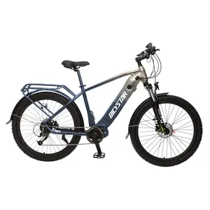 Aluminum Alloy Frame Material And 200-250 W Factory Direct New 26 &quot;electric Folding Bicycle/electric Cycles Reviews