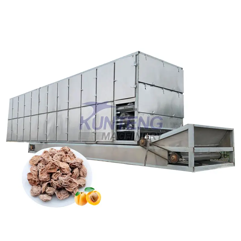 High quality commercial 24 hours continuous working food dryer vegetables fruit dehydrator apricot drying machine price in China