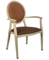 Fauteuil moderne et élégant Mobilier de maison Fauteuil de salle à manger Chaise de salle à manger résistante aux taches pour personnes âgées et soins à domicile