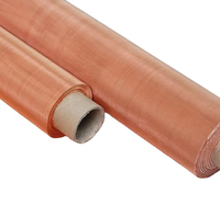 High Precision Plain Woven Stainless Steel Filter Mesh Roll Durable High-Conductivity Wire Screen Industrial Filtration