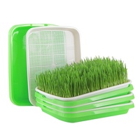 Plateau de semis multifonctionnel en PP crypté, robuste, monobloc, pour la germination en gros de légumes hydroponiques et de pousses de haricots