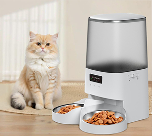 CITICITY - Comedero Elevado Automático para Mascotas, Plegable, de Acero Inoxidable, Libre de BPA, Tazón Práctico para Comida de Mascotas - Product Image 4