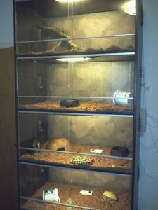 Plastique Pvc Empilable Reptile Acrylique Aluminium 20 cm Verre Or Pierres Plante Mousse 90x45x60 Bol Grande Araignée Led <span class=keywords><strong>Terrarium</strong></span> - Product Image 4