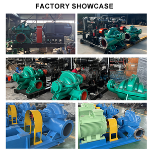 Horizontal Single Stage High Head Irrigation Industrial Water <b>Pump</b> Centrifugal Mid Center Double <b>Suction</b> Cast Iron Double Suctio - Product Image 3