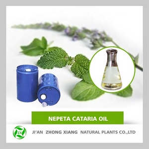 <span class=keywords><strong>Huile</strong></span> de Catnip (Nepeta Cataria) en vrac pour bain de bouche et dentifrice / <span class=keywords><strong>Huile</strong></span> essentielle de Catnip / <span class=keywords><strong>Huile</strong></span> de Nepeta Catnip - Product Image 3