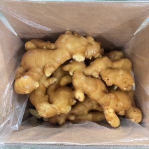 中国のハイグレード象ジンジャー (150g +) | プレカット & ウォッシュ - Product Image 4