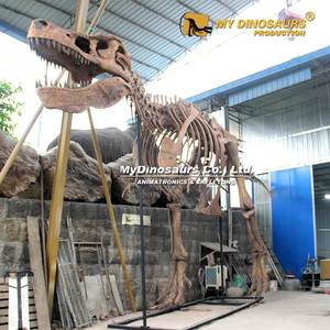 Modelo de Esqueleto de Dinosaurio T-Rex de <span class=keywords><strong>Jurassic</strong></span> <span class=keywords><strong>World</strong></span>, Tamaño Grande, My Dino FDS015 - Product Image 4