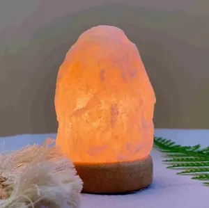 Trending 2024 USB Himalayan Salt Lamp Popular Night Light Gift Halogen Lamp Create a soothing atmosphere with natural shape lamp