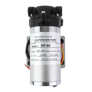 DP-60-220v 40W Geborsteld Dc Elektrische Diafragma Waterpomp Landbouw Spray Drone/Carwash Applicatie