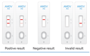 Kit de test rapide des anticorps du virus de la maladie du vison aléoutien (AMDV)-10 tests/kit - Product Image 4