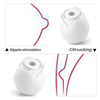 Im Dunkeln Leuchtender Rosen-Vibrator Klitoris-Sauger Nippel-Stimulator Leuchtender Rosen-Vibrator für Frauen Sexspielzeug