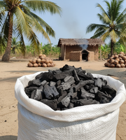 Charbon de coco Arang Batok Kelapa / Charbon de coque de noix de coco offre une chaleur durable, écologique et de qualité supérieure pour griller le shisha et le nettoyer.