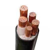 Cable de Alimentación Estándar YJV/YJY de Cobre de Calidad Superior 1x300mm 0.6/1kV con Aislamiento XLPE
