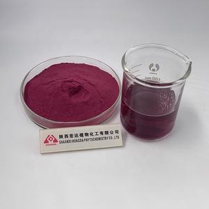 天然有机冻干野生蓝莓果汁粉蓝莓粉 - Product Image 2