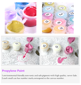 Nuevo diseño 20x25 cm retrato pintura personalizada por números marco pintura por Numberskit decoración del hogar para adultos - Product Image 4