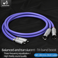 Câble audio Hifi 2RCA mâle vers 2XLR, 3 broches, en fibre de carbone, prise XLR mâle/femelle, microphone, moniteur, haut-parleur, lecteur CD, ordinateur