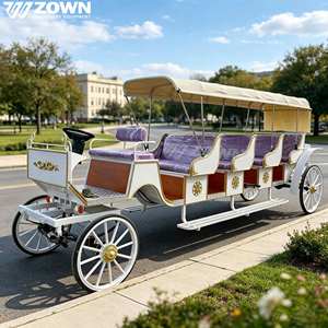 Charrette électrique de tourisme avec auvent, chariot électrique de luxe à quatre roues, calèche de tourisme Victoria - Product Image 1