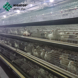 La mejor calidad de un <span class=keywords><strong>marco</strong></span> de pollos de engorde <span class=keywords><strong>pollo</strong></span> aves de corral criador jaula para granja - Product Image 3