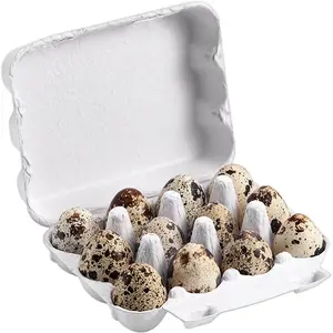 Одноразовые переработанные коробки для яиц с печатью на заказ, коробки для перепелиных яиц, пластиковые коробки для яиц, дешевые оптом