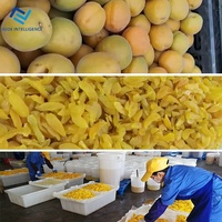 Biltong Champignon Droogdroger Andere Voedselverwerkende Lijn Zeekomkommer Verse Draak Dehydrator Machines Fruit Droger Machine