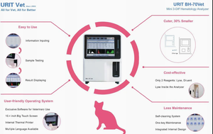 عيادة الحيوانات الأليفة أمراض الدم البيطرية سعر محلل الدم السريري القط الحيوان - Product Image 6