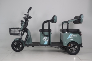 Tricycle à moteur 800W 48V, scooter à <span class=keywords><strong>3</strong></span> <span class=keywords><strong>roues</strong></span>, scooter de mobilité, scooter de mobilité <span class=keywords><strong>2</strong></span> <span class=keywords><strong>places</strong></span>, scooters de mobilité à <span class=keywords><strong>3</strong></span> <span class=keywords><strong>roues</strong></span>, tricycle - Product Image 2