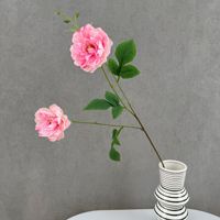 2 têtes de fleurs de pivoine en soie, fleurs de pivoine artificielles pour mariage, décoration de la maison, arrangement floral DIY, décoration de fond de festival