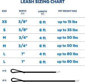 Fournisseur Gold Plus Extension de laisse de chien mains libres Laisse et collier de chien très résistants Laisses de chien qui se fixent aux vélos - Product Image 6