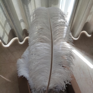 <span class=keywords><strong>Plumes</strong></span> <span class=keywords><strong>d</strong></span>'<span class=keywords><strong>autruche</strong></span> blanches teintées et duveteuses, Plumas De Avestruz, centre de table de 70 <span class=keywords><strong>cm</strong></span> pour <span class=keywords><strong>d</strong></span>écorations de table de mariage - Product Image 2