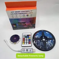 Bande lumineuse murale LED RGB 5V pour maison intelligente, effet feux d'artifice, décorative, lumières de Noël avec télécommande/contrôle par application