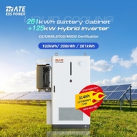 Système de stockage d'énergie MATE tout-en-un Solis 125 kW 261 kWh avec batterie LFP à refroidissement liquide, armoire ESS extérieure avec protection IP54