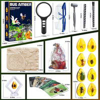 STEM Gem stone Bugs Toys Ausgrabungs-Science-Kits Künstliche 8 Insekten Harz 8 Insect Amber Digging Kit
