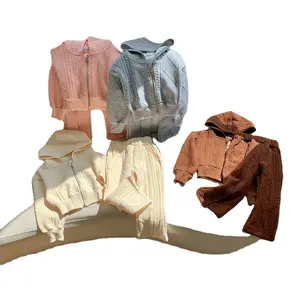 Однотонная одежда для маленьких девочек, От 4 до 5 лет осенний изысканный комплект одежды из двух предметов, худи на молнии, топ и брюки