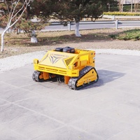 Nouvelle tondeuse à gazon rotative agricole miniature, tondeuse à fléaux robotisée télécommandée à essence pour usage domestique