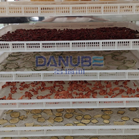 Máquina de Secado de Cacahuetes de Alta Calidad, Secador Industrial de Cacahuetes con Bomba de Calor para el Procesamiento de Semillas y Frutos Secos