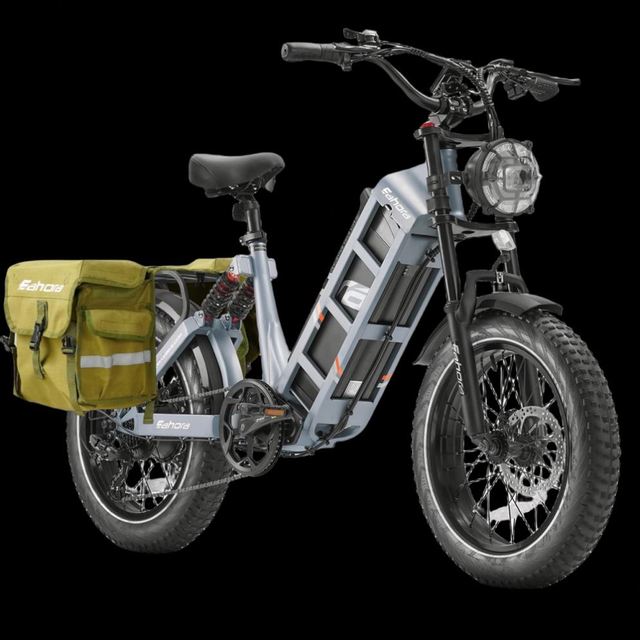 Eahora Juliet New 48v 60AH 1000w Lithium Battery Hybrid Electric Charging Bikes Fat Tire Cargo E-bike