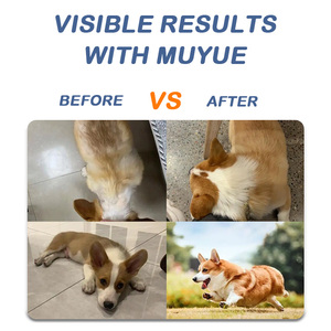 Suplemento Nutricional Multivitamínico 11 en 1 para Mascotas, Golosinas Masticables Suaves con Vitaminas para Perros, Suplemento para la Salud de las Mascotas, Venta al por Mayor de Fábrica - Product Image 5