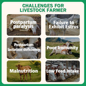 Premezcla para Ganado Reproductivo (Bovinos y Ovinos) al 5%: Aditivos Alimenticios de Alta Calidad para Ganado |   Mejora la inmunidad y aumenta la producción de leche - Product Image 4