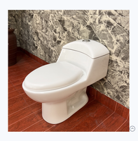Ensemble WC monobloc en céramique à double chasse, à sortie verticale, design contemporain, pour usage domestique - Vente en gros