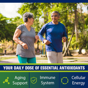 Cápsulas de Bergamota Cítrica OEM/ODM, Suplemento de Bergamota Cítrica para el Corazón, Apoyo al Sistema Inmunitario y Envejecimiento Saludable - Product Image 4