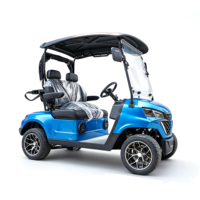 Voiturette de golf électrique 2 places tout-terrain, buggy à batterie lithium, voiturette de golf personnalisée pour parcours de golf et complexe hôtelier