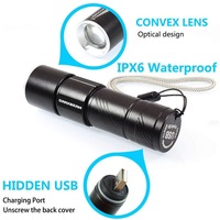 Lampe de poche LED rechargeable par USB 4 modes de travail Zoom 395NM pour vérification des pierres précieuses Lampe à urine pour animaux de compagnie