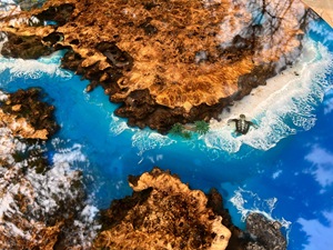 Mesa de Centro Ocean con Tablero de Madera Maciza de Burl, Superficie de Mesa de Río con Borde Natural Personalizado para Sala de Estar de Lujo - Product Image 4